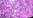 A_PALL28 - A_PALL28