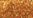 L_PD03 - 03 - Ambre