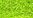 L_PD11 - 11 - Vert anis