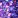 PAILL07 - Violet multicolore